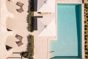 reveli suites