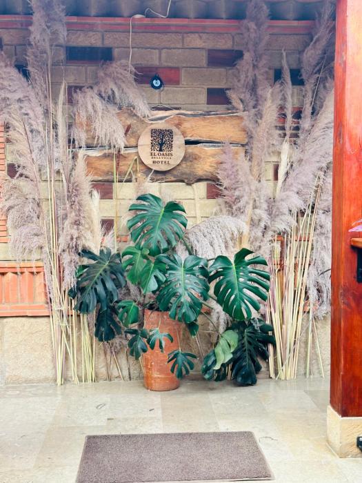 hotel oasis de la villa