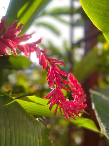 hotel del aserradero