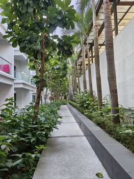 rasa sayang at the loft imago