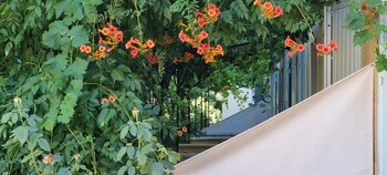 le gite du festival sud