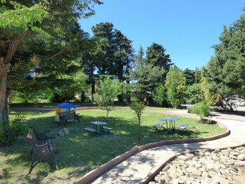 avignon