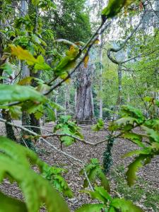 duerming ria de viveiro apartamentos