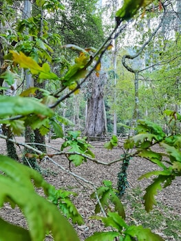 duerming ria de viveiro apartamentos