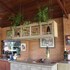 paradies hotel express