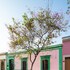 oaxaca