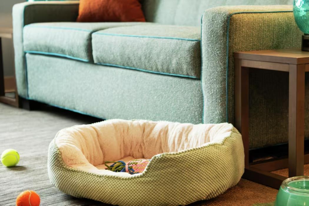 home2 suites by hilton richmond glenside