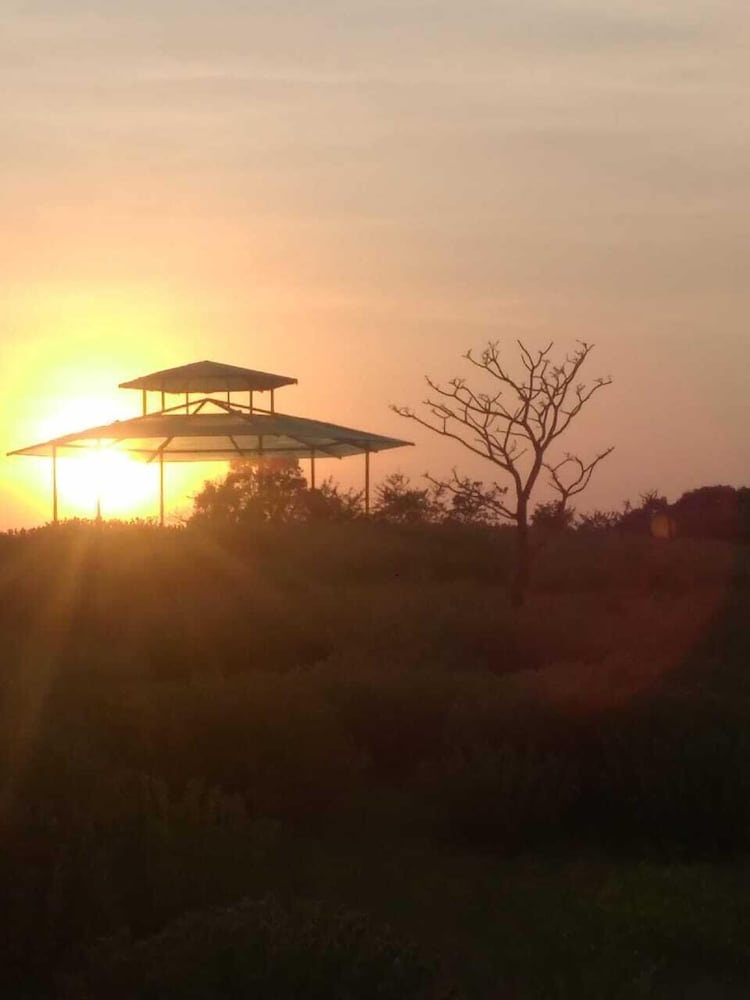 forest trails adventure resort