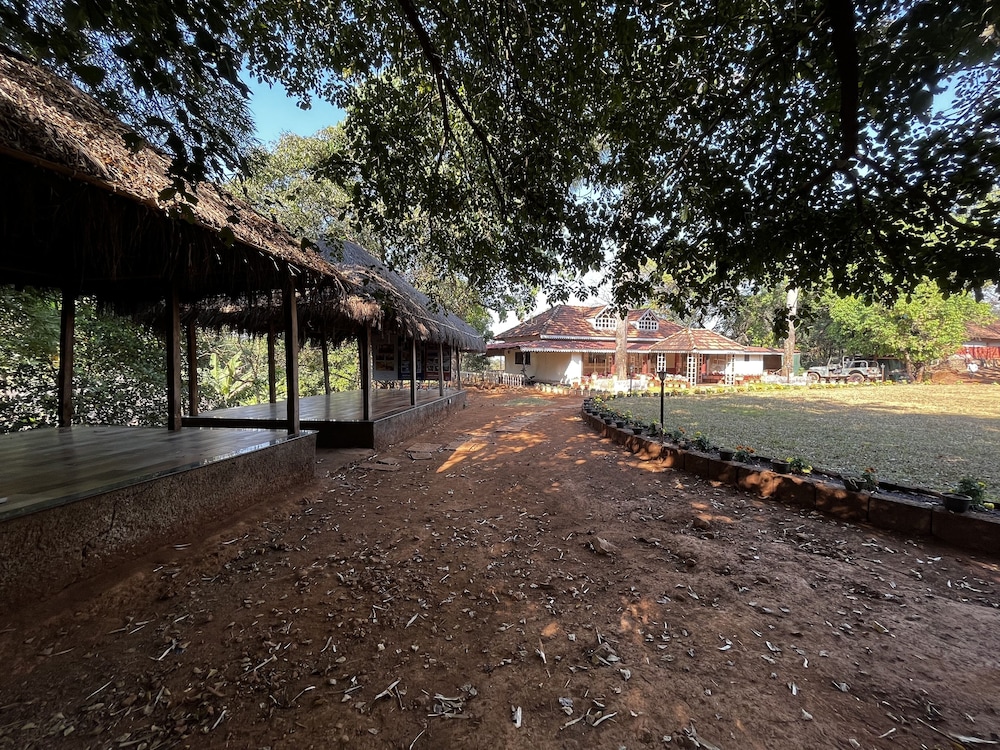 forest trails adventure resort