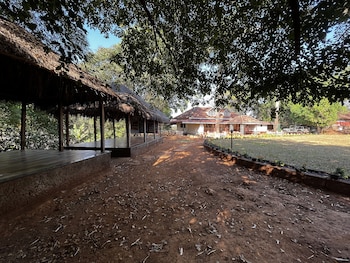 forest trails adventure resort