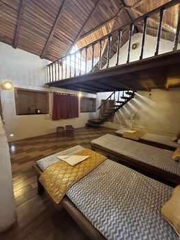 forest trails adventure resort