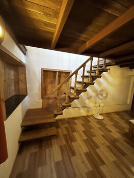 forest trails adventure resort