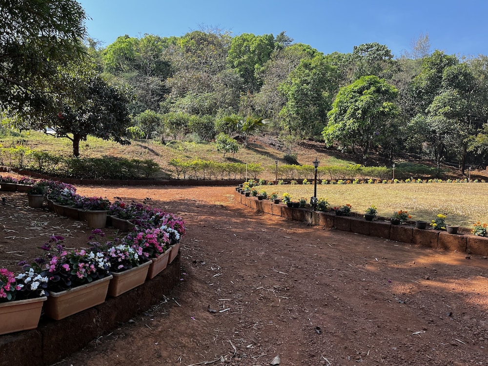 forest trails adventure resort