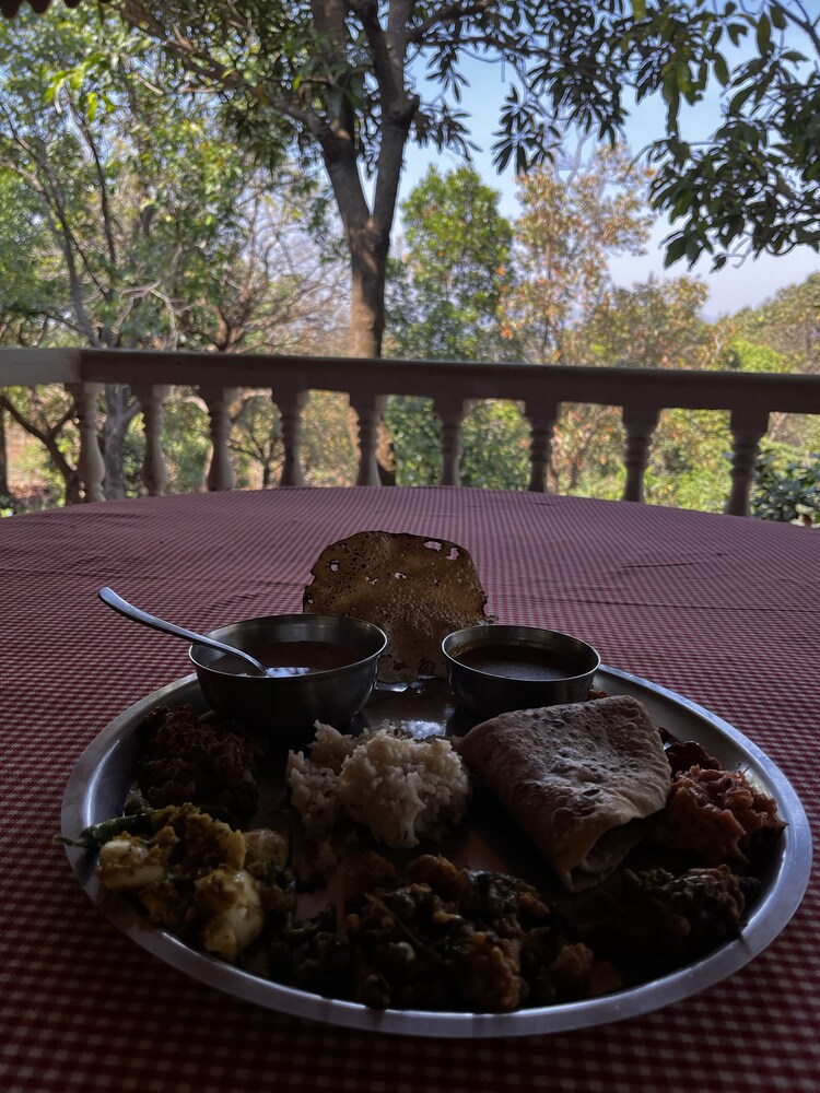 forest trails adventure resort