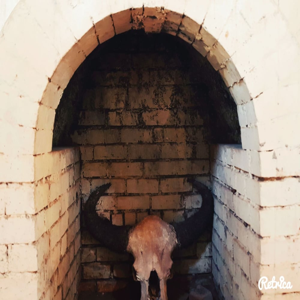 forest trails adventure resort