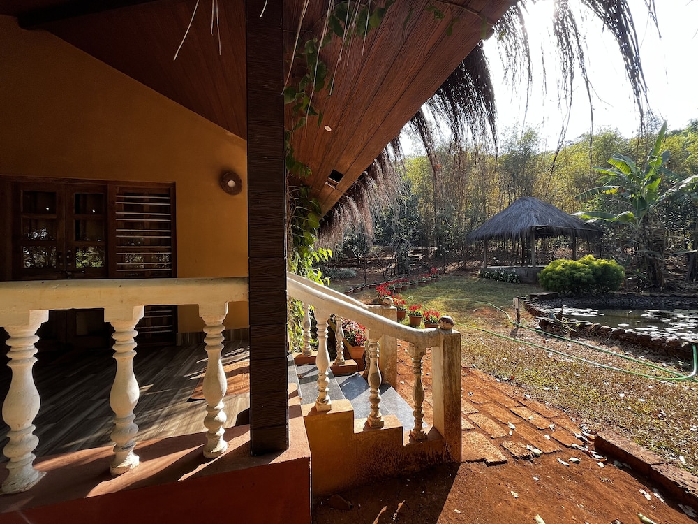 forest trails adventure resort