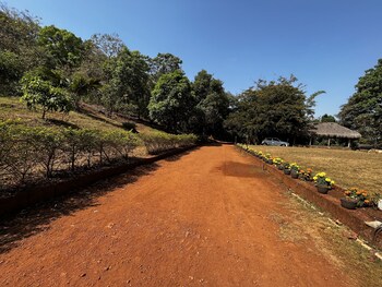 forest trails adventure resort