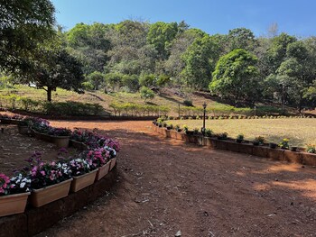 forest trails adventure resort