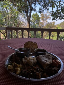 forest trails adventure resort