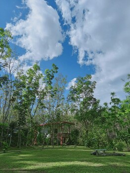 baansuan suksangob farm stay