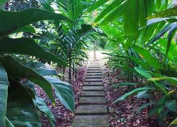 baansuan suksangob farm stay