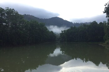 baansuan suksangob farm stay