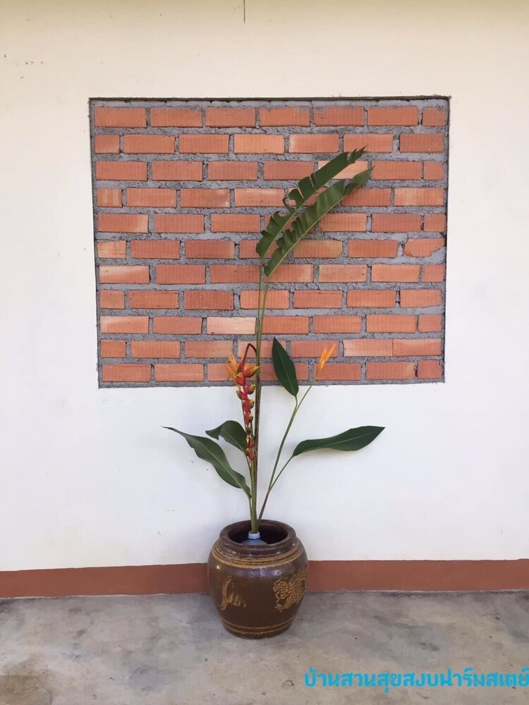 baansuan suksangob farm stay