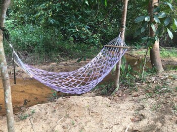 baansuan suksangob farm stay