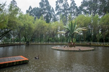 hotel boutique la casona de la moreria