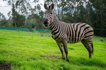 hotel boutique la casona de la moreria