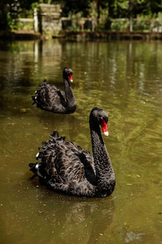 hotel boutique la casona de la moreria