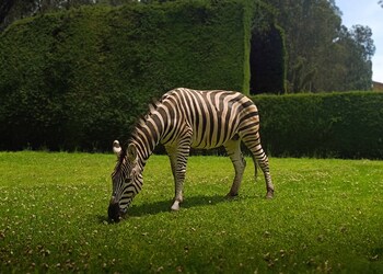 hotel boutique la casona de la moreria