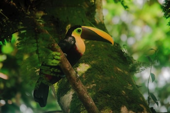 la fortuna
