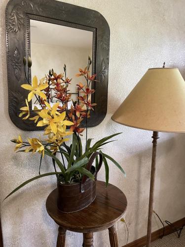 c8 two bedroom two bath log sided lake view luxury cottage with hot tub by redawning