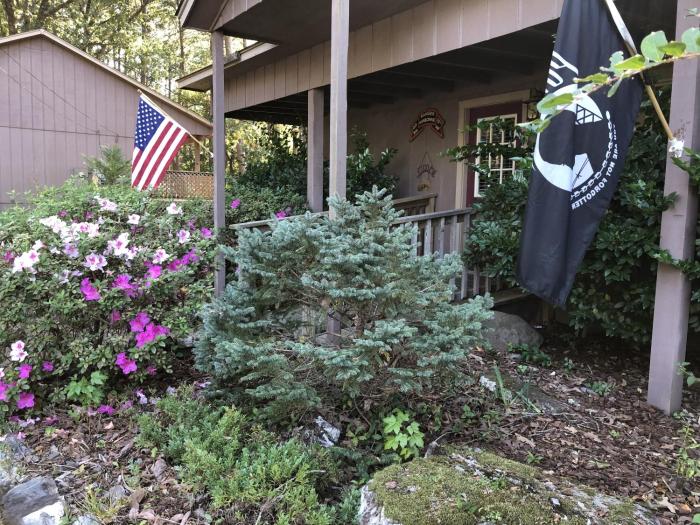 mountain harbor forest view lodge cottage by redawning