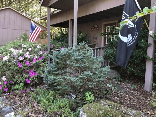 mountain harbor forest view lodge cottage by redawning