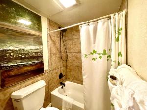 su15 spacious studio with full kitchen dining table and rock patio overlooking lake ouachita by redawning