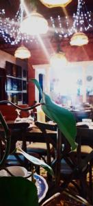 hotel faroles de quimbaya