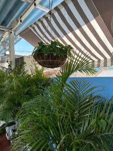 hotel casa cielo cartagena