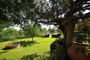 castellina in chianti