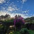 reventazon river mountain lodge