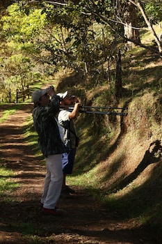 reventazon river mountain lodge