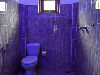 serendip villa holiday home