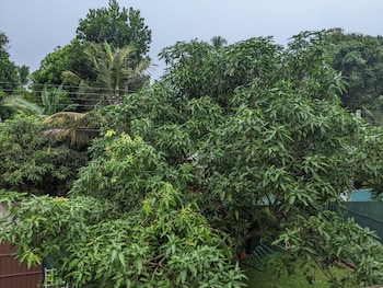 serendip villa holiday home