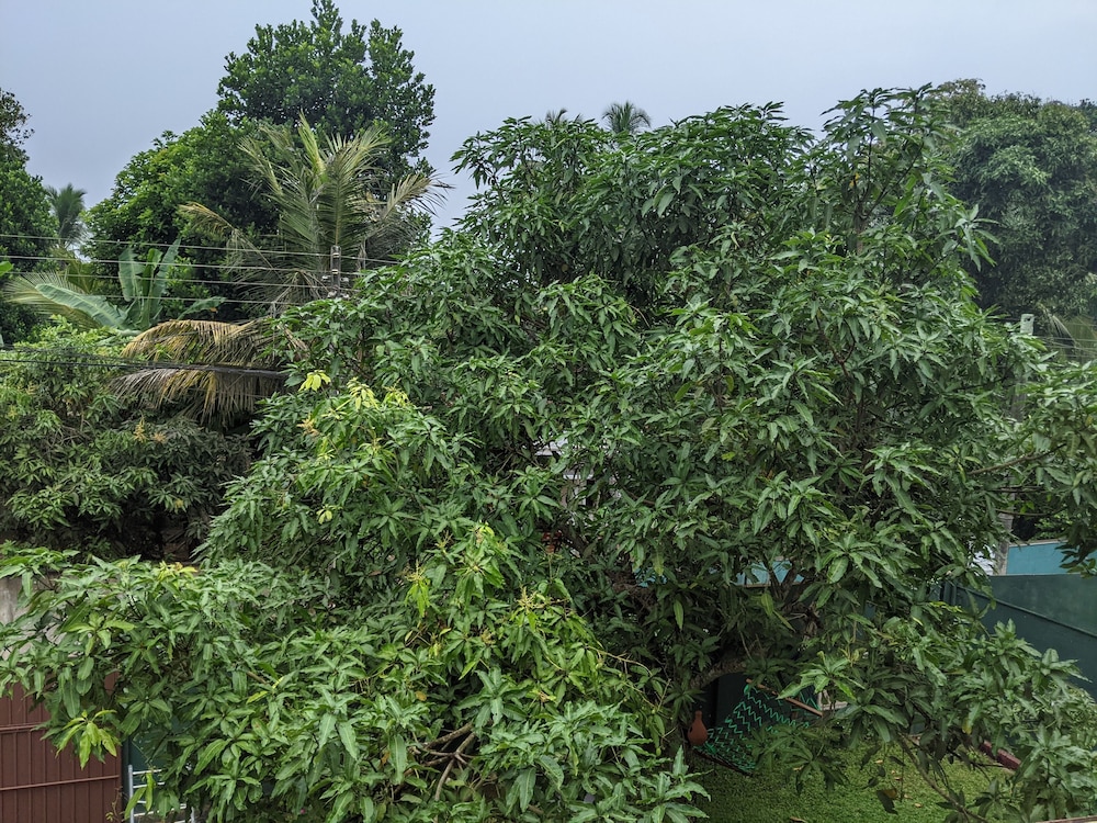 serendip villa holiday home