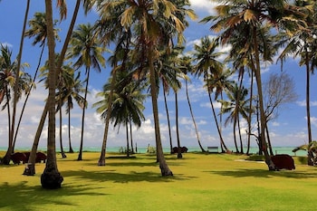 porto de pedras