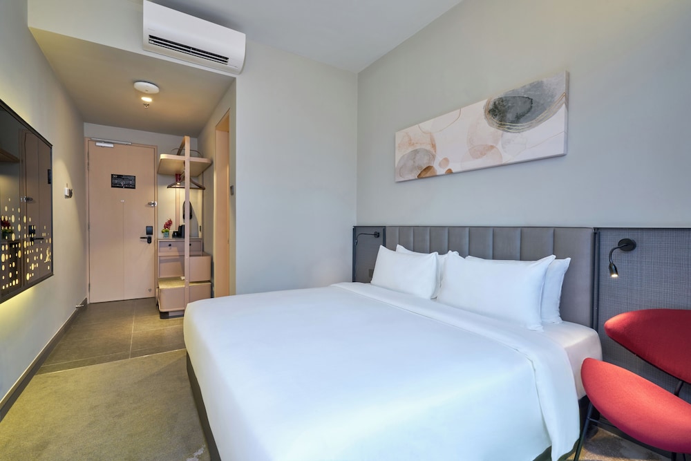 sleeping lion suites