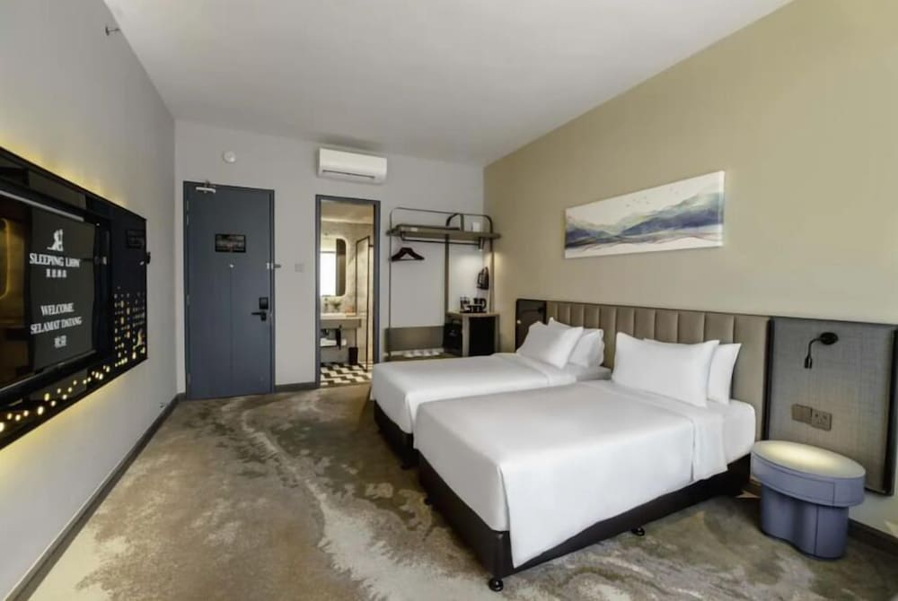 sleeping lion suites