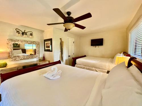 poolside queen cabana with two queen beds full kitchen and pool access overlooking lake ouachita by redawning