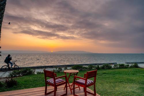 atoq paracas reserva